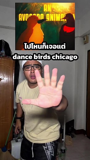 ไปไหนก็เจอแต่ dance birds chicago #tumtama #ตั้มทามะ #meme | chicago