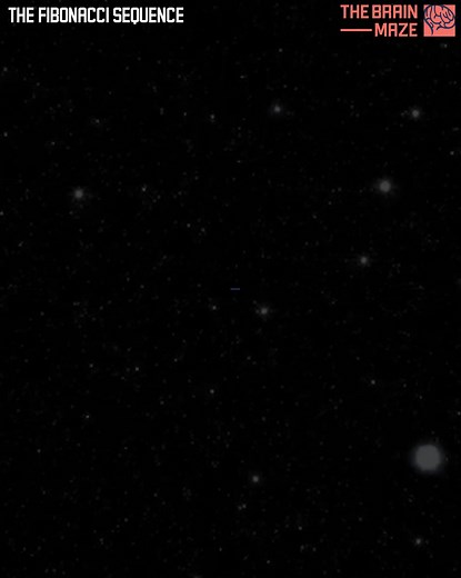 The Fibonacci Sequence This pattern emerges everywhere in nature—spiraling in seashells, unfolding in sunflowers, even shaping galaxies themselves. But what is it about the Fibonacci sequence that makes it appear across the universe? In this animation, we bring the numbers to life, showing how a simple mathematical rule grows into breathtaking beauty and order. | The Brain Maze