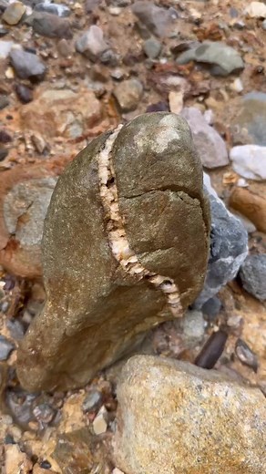 Gold Prospecting for Beginners: Finding Gold in Sand