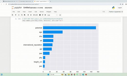 利用SHAP解释Xgboost模型