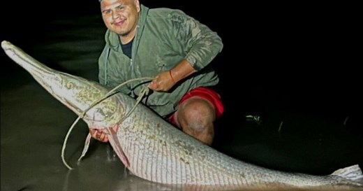 Group of fishermen beat record for largest alligator gar caught in Lake Corpus Christi
