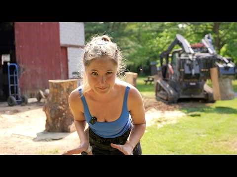 Carving A Life Sized Hippo For A Zoo