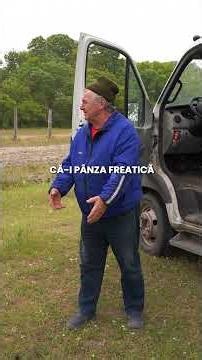 Secretele din Pădurea Letea aflate direct de la localnici! #shorts