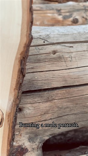 One of my favorite portraits I have done! I am so excited to see what’s next! 🤩 | Cattle Call Pyrography