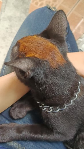 aien bella on TikTok