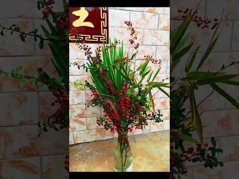 Cycloazinone Bamboo Cleaner: Ultimate Guide for Safe Use