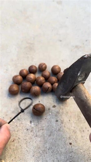 1.3K views | Handy Trick for Cracking Nuts in Seconds. #reels #viral #ytshorts | Debunkery Row | Facebook