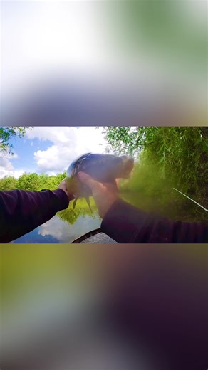 Pole Fishing Techniques and Method Feeder Tips