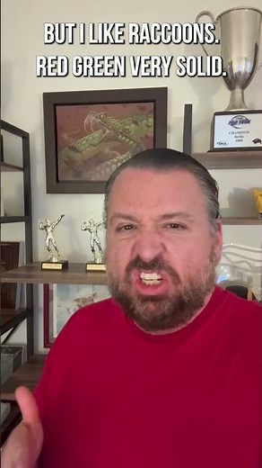 Five Best Color Pairs in Bloomburrow #mtg