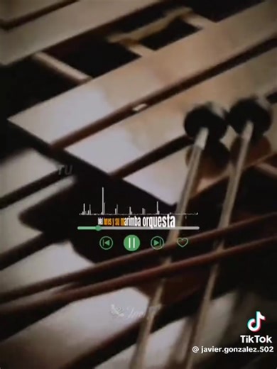 Flor de Capomo - Fidel Funes y Su Marimba Orquesta #fidelfunes #cumbia #cumbiasparabailar #musicateopical #orquesta #marimba #marimba_guatemalteca #flordecapomo @Fidel Funes Oficial