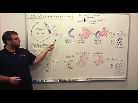 Blue-White Screen - Alpha Complimentation Whiteboard Talk