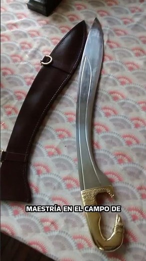 The Falcata, the Iberian Sword that DESTROYED ARMOUR #history #militaryhistory #falcata #shorts