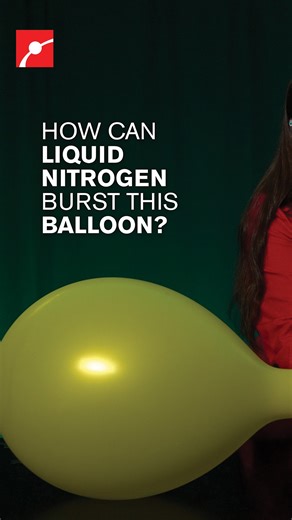 Museum of Science on Instagram: "How does liquid nitrogen make a balloon explode? 🎈💥 As the liquid nitrogen boils, its molecules rapidly spread out, expanding up to 700 times their original volume. That sudden gas expansion inflates the balloon at high speed, building pressure until it pops! #ScienceExperiments #Science #LiquidNitrogen #Balloon #Physics"