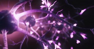 Neuronal and Synapse Activity