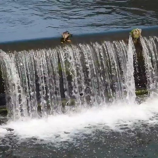 Epic Plunge! Baby Ducks Brave a Giant Waterfall 🐥🌊