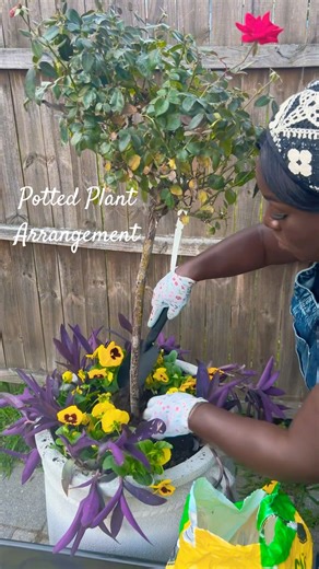 DIY Potted Plant Arrangement