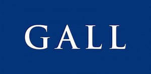 An Overview of the Disciplinary Procedure in Hong Kong | Gall Solicitors