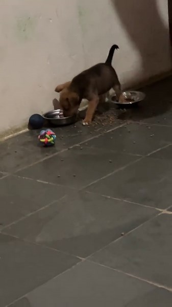 Os vídeos de no off (@no.off6) com original sound - no off