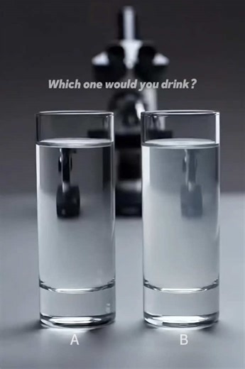 Understanding Water Quality Through Microscopy