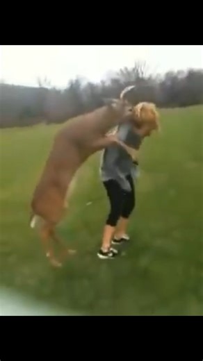 Please be advised that our super-charged doe estrus products should not be applied to clothing or any other materials, as this could attract unwanted attention from male deer. | Jinx'em Scents