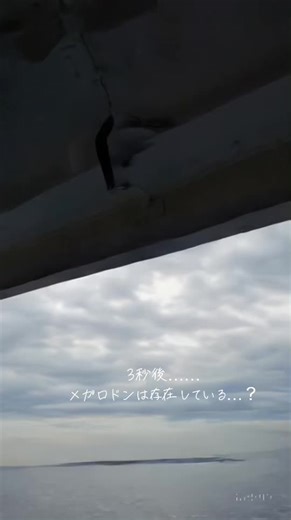 深海の恐怖メガロドンが迫る！