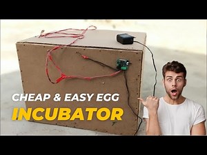 How to Make an Egg Incubator at Home with Simple Materials