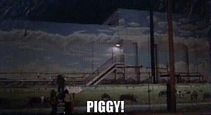 Piggy!