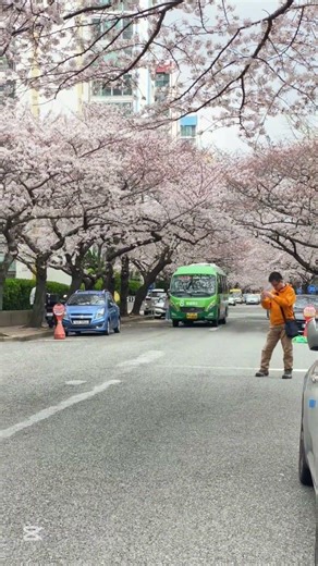 BUSAN KOREA | TOUR GUIDE IN BUSAN #busan #travel #shorts