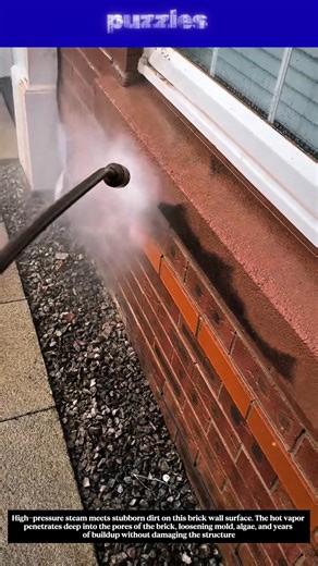 Extreme Steam Cleaning Brick Wall Transformation | Satisfying Power Wash Results