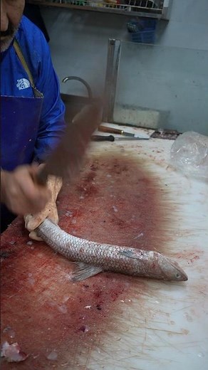 Bone-In Fish Cutting Technique for Ocean Fish