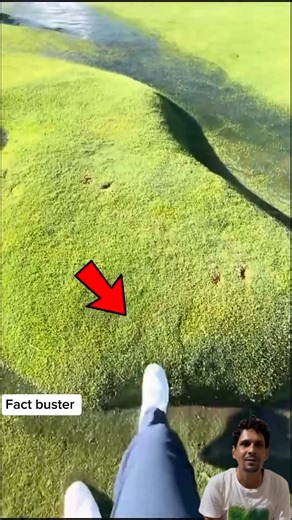 How to remove these grass bubbles #viralfbreelsfypシ゚ #highlightseveryonefollowers2025 #viralreelsシ #trendingreel #trending | Fact Buster