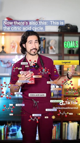 Understanding the Coagulation Cascade in Medicine