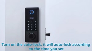 Bebasia Smart Fingerprint Door Lock with 2-Level Handles and Keypad Entry (Black)