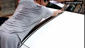 2 Pieces Racing Rally Kit Stripes Vinyl Decal Graphic Stickers for Ford Mustang 2015 2016 2017 2018 2019 2020 (Gloss White)