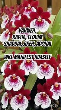 Yahweh Rapha ElohimShaddai | English Christian Song With Lyrics | A Trip With Jesus | Shorts