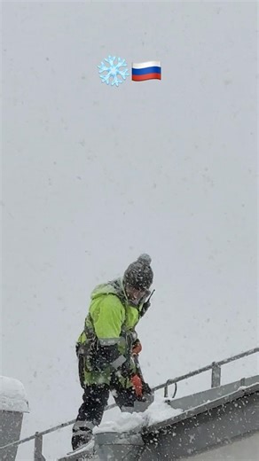 My window view = Morning Motivation