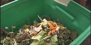 Composting: A greener way to dispose of your pumpkins