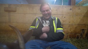 Dzees Solar Security Cameras Wireless Outdoor, 2K Battery Powered Security Camera, 360° PTZ Camera with Spotlight, Siren, Color Night Vision, AI Dectection, IP66 for Home Security, 2.4GHz 4-Pack