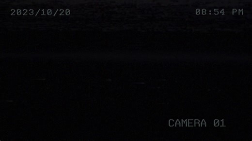 Bike Interviews: Exploring Fixed Gear Culture in Singapore