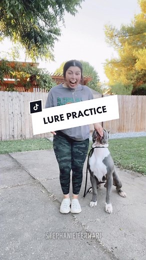 This is what a training session looks like at my house rn. Trying out different lure methods, energy levels and new placements in the pup’s training. It’s never too late too late to teach yourself or your pup something new #canecorso #luretraining #doglure