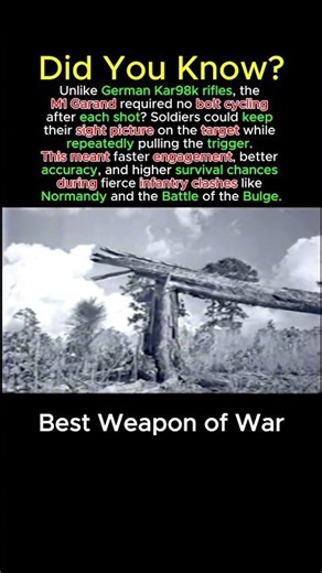 M1 Garand vs Bolt Action – Why US Soldiers Fired Faster