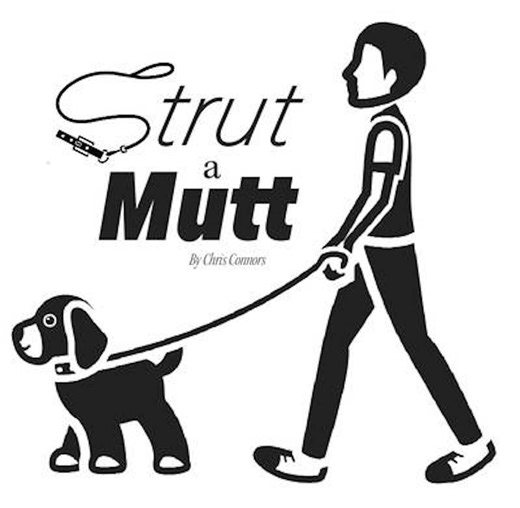 STRUT A MUTT: Thunder sniffs up a storm in our latest video
