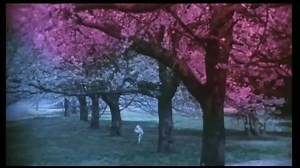 Hachiko Monogatari "A Versão Original" Conheça a verdadeira história do fiel cachorro que emocionou o mundo ao esperar seu tutor, já falecido, por 10 anos em uma estação de trem em Shibuya, Japão... (Leia mais) www.cacadoresdelendas.com.br/japao/hachiko-a-historia-do-cao-mais-fiel-do-mundo/ | Caçadores de Lendas/Japão