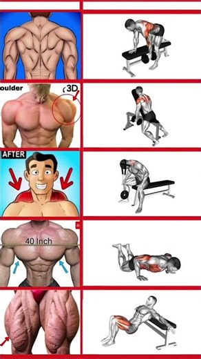 Ultimate Leg Day: Best Full Leg Workouts for Strength & Size!