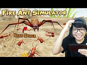 Fire Ant VS Boss Spider - Perang Semut Merah | Queen Ant Simulator
