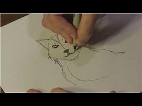 How to Draw Animals : How to Draw Real Wolves
