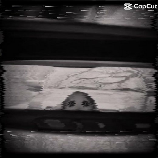 Dog looking from a car window edit