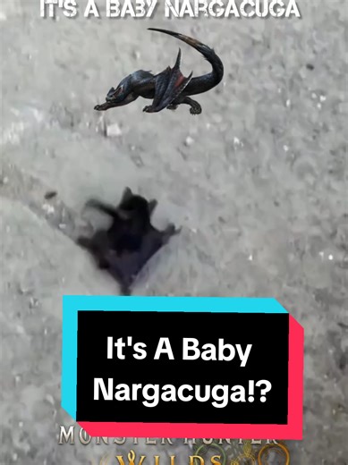 Discover Baby Nargacuga in Monster Hunter World