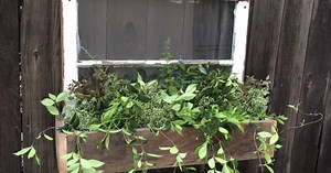 How To Make A Vintage Window Planter Box