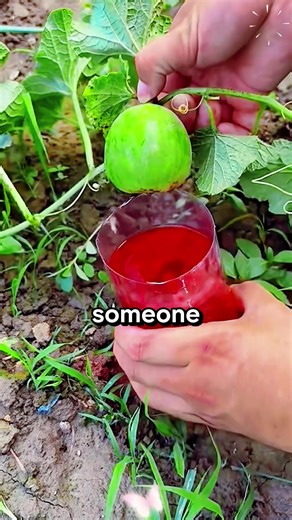 Spotting Signs of Someone Watching Your Child